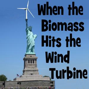 When the BioMass Hits the Wind Turbine