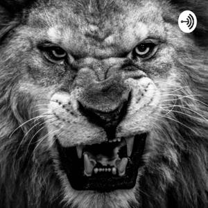 “THE COLLECTION” with CJ