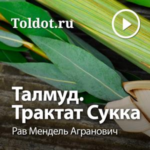 Рав Мендель Агранович  — Талмуд. Трактат Сукка