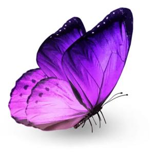 The Gospel: Unscripted