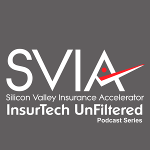 SVIAccelerator Podcast