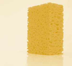 Bist du ein Schwamm?