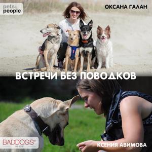 Встречи без поводков