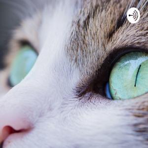 Feline Soul At Heart