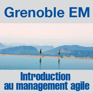 Introduction au management agile : Video collection