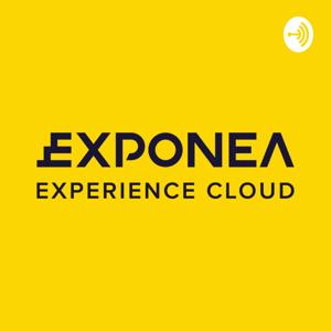 Exponea - Audio Insights