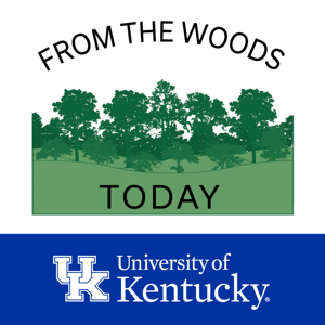 From the Woods Today by Renee Williams, UK Forestry and Natural Resources - Extension