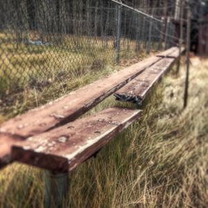 Riding The Pine's Podcast