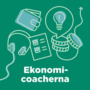 Ekonomicoacherna