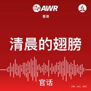 AWR - 清晨的翅膀