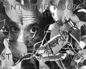 Into The Woods with Stewart Strauss Podcast