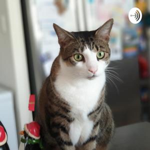 TBW Podcast