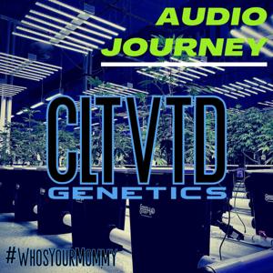 CLTVTD Genetics | Audio Journal | the journey of a startup cannabis nursery |@CLTVTD_mg
