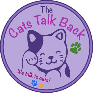 The Cats Talk Back