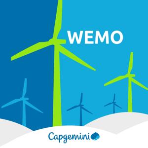 WEMO: the World Energy Markets Observatory