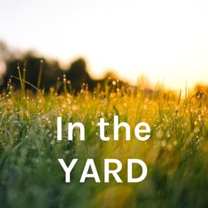 In the YARD