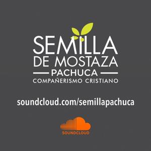 Semilla de Mostaza Pachuca