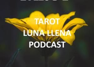 TAROT LUNA LLENA