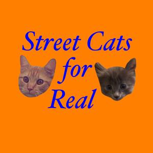 Street Cats For Real