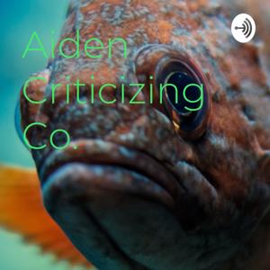 Aiden Criticizing Co.