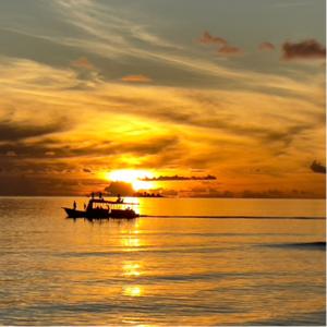 Recovery People Everywhere