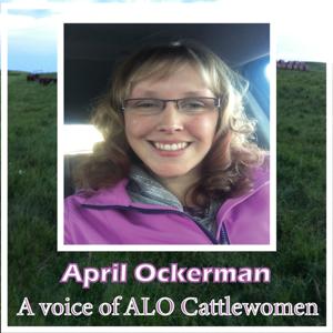 April Ockerman:  A Voice of ALO Cattle Women