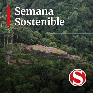 Semana Sostenible