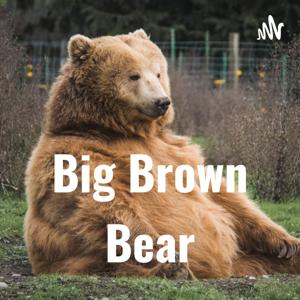 Big Brown Bear