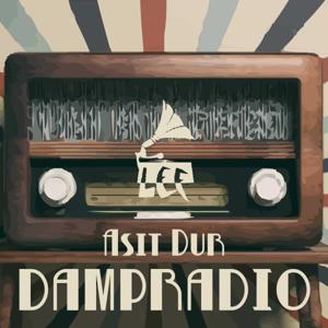 Dampradio