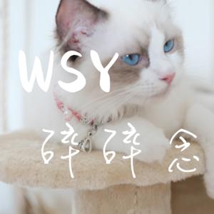 WSY碎碎念