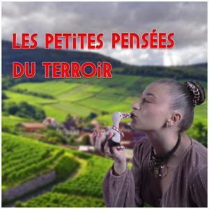 Les petites pensées du terroir