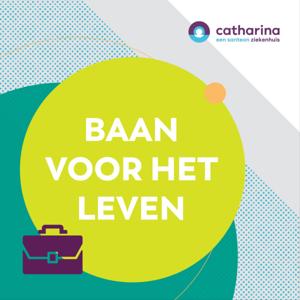 Baan Voor Het Leven