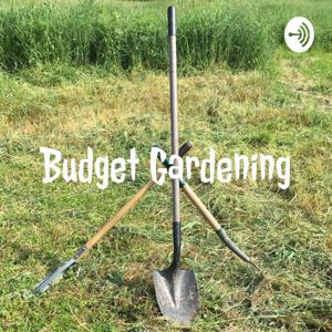 Budget Gardening