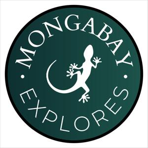 Mongabay Explores