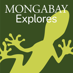 Mongabay Explores by Mongabay.com