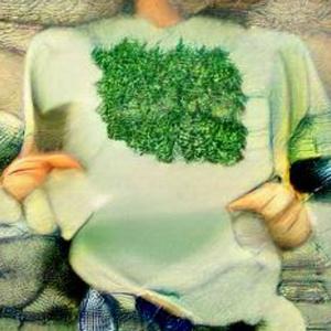 Oregano Shirt