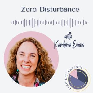 Zero Disturbance by Kambria Evans, The Teaching & Learning EMDR Consultant