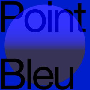 Point Bleu