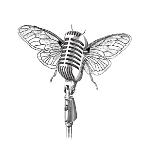 CicadaCast