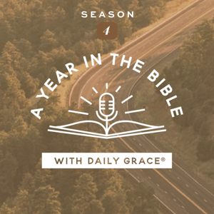 A Year in the Bible with Daily Grace by The Daily Grace Co.