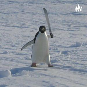 Pingüinos Con Machete