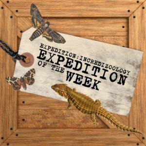 Expedition of the Week!