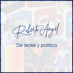 De redes y política