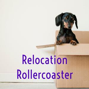 Relocation Rollercoaster