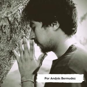 Profundiza con Andrés Bermúdez