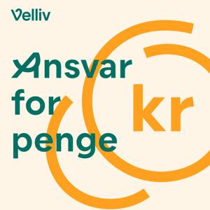 Ansvar for penge