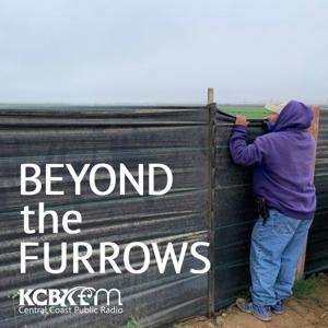 Beyond the Furrows