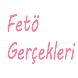 Fetö Gerçekleri