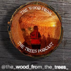 The Wood From The Trees