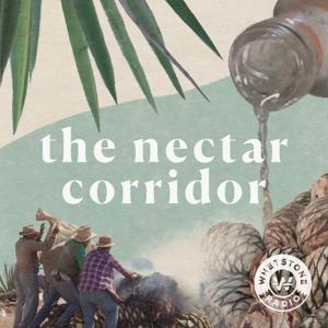 The Nectar Corridor by Whetstone Radio Collective